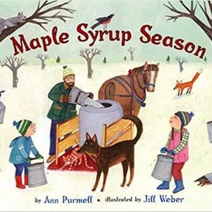 Maple Syrup Season
