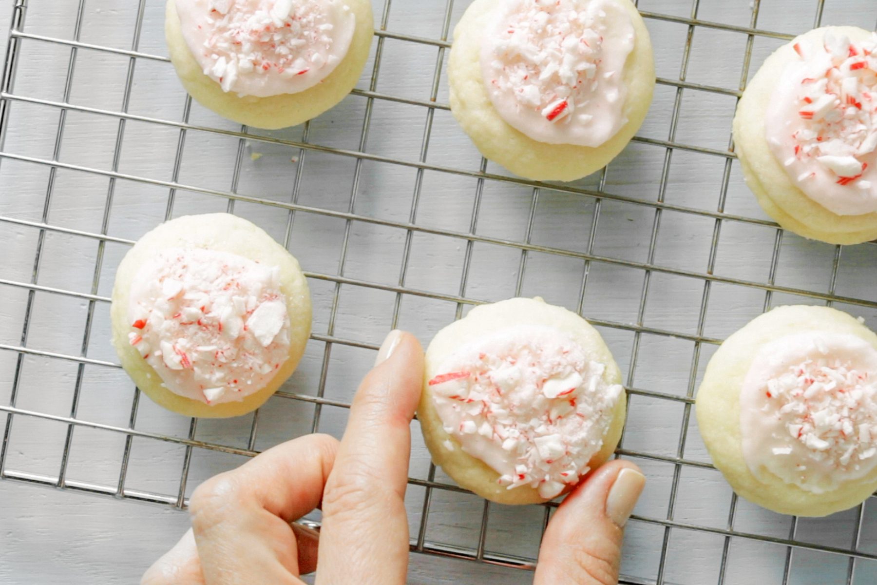 Peppermint Meltaways Thvs23 41439 Mr 10 23 23 Peppermintmeltaways 7 Ss Edit