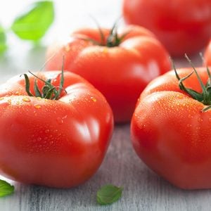 fresh beef tomatoes and basil leaves