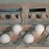 You've Probably Been Removing Eggs From the Carton Wrong Your Whole Life