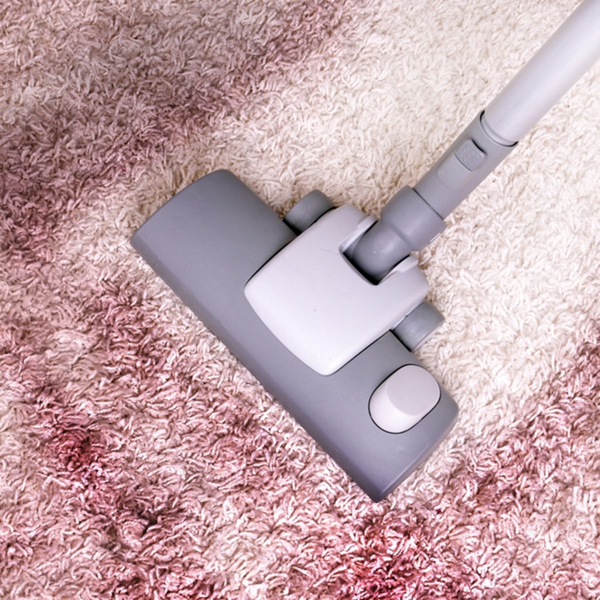 vacuuming; Shutterstock ID 113707672; Job (TFH, TOH, RD, BNB, CWM, CM): TOH