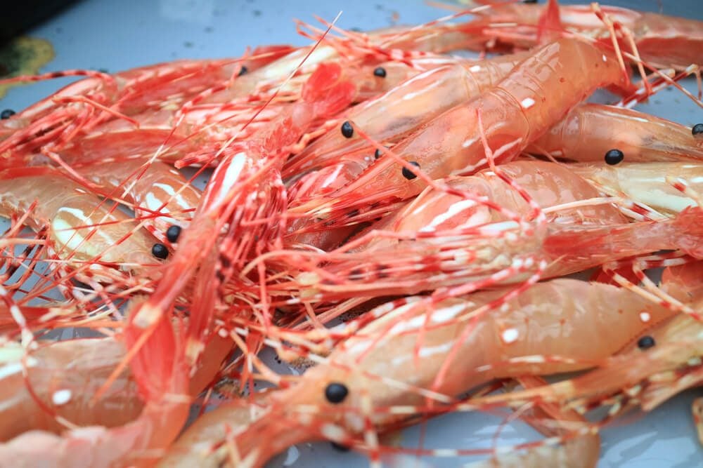 Fresh raw spot prawn selling at fish market at Newport Beach