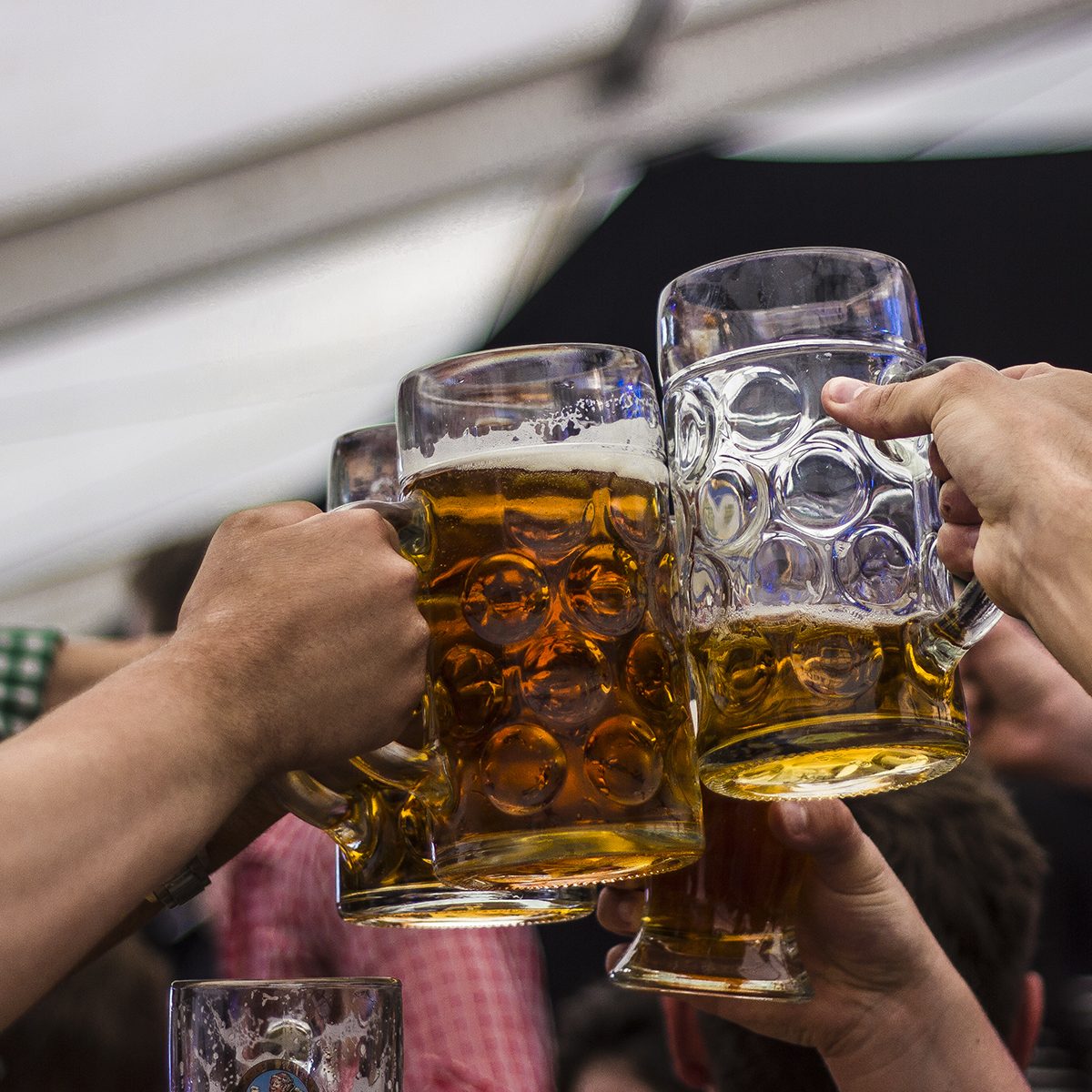 German beer stein glasses cheers