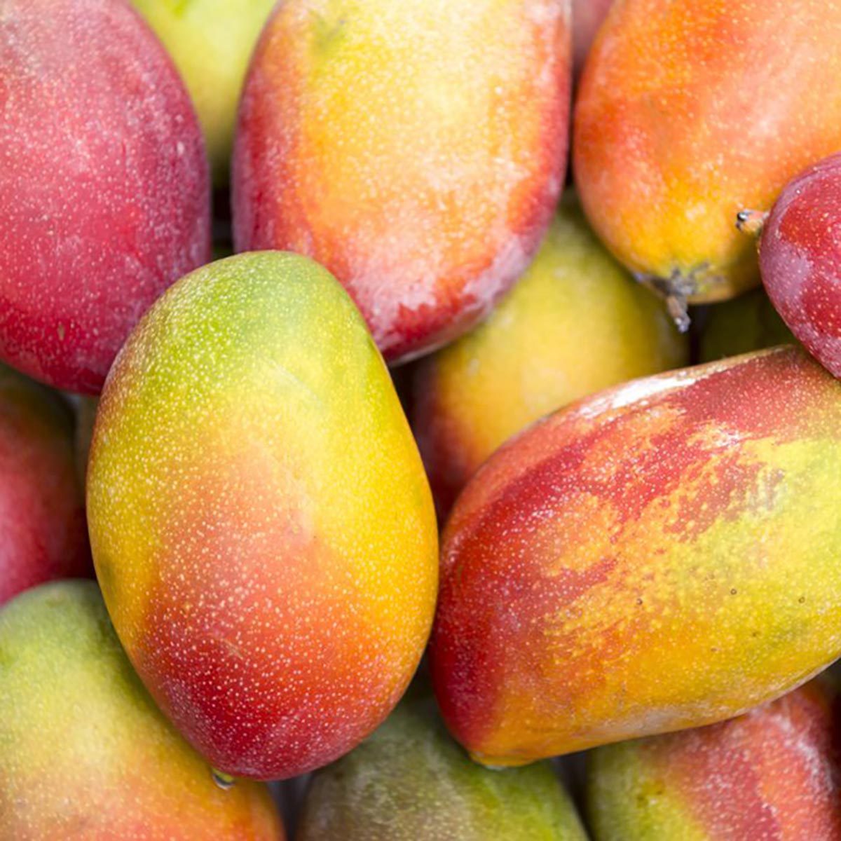 fresh mangoes
