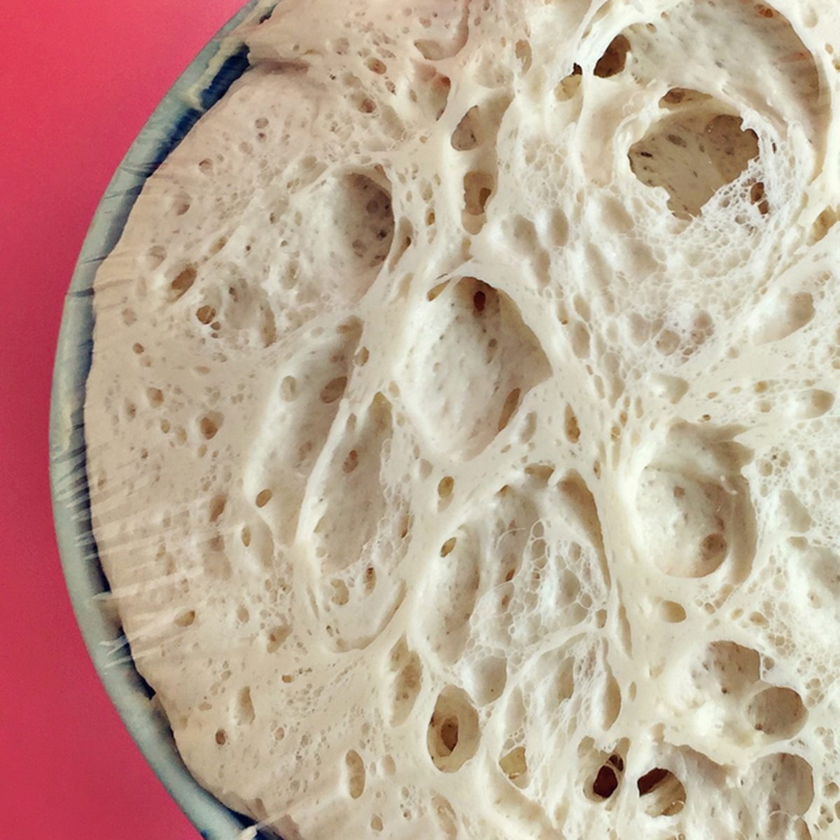 Fresh yeast dough for pizza, bread, baguettes, sourdough