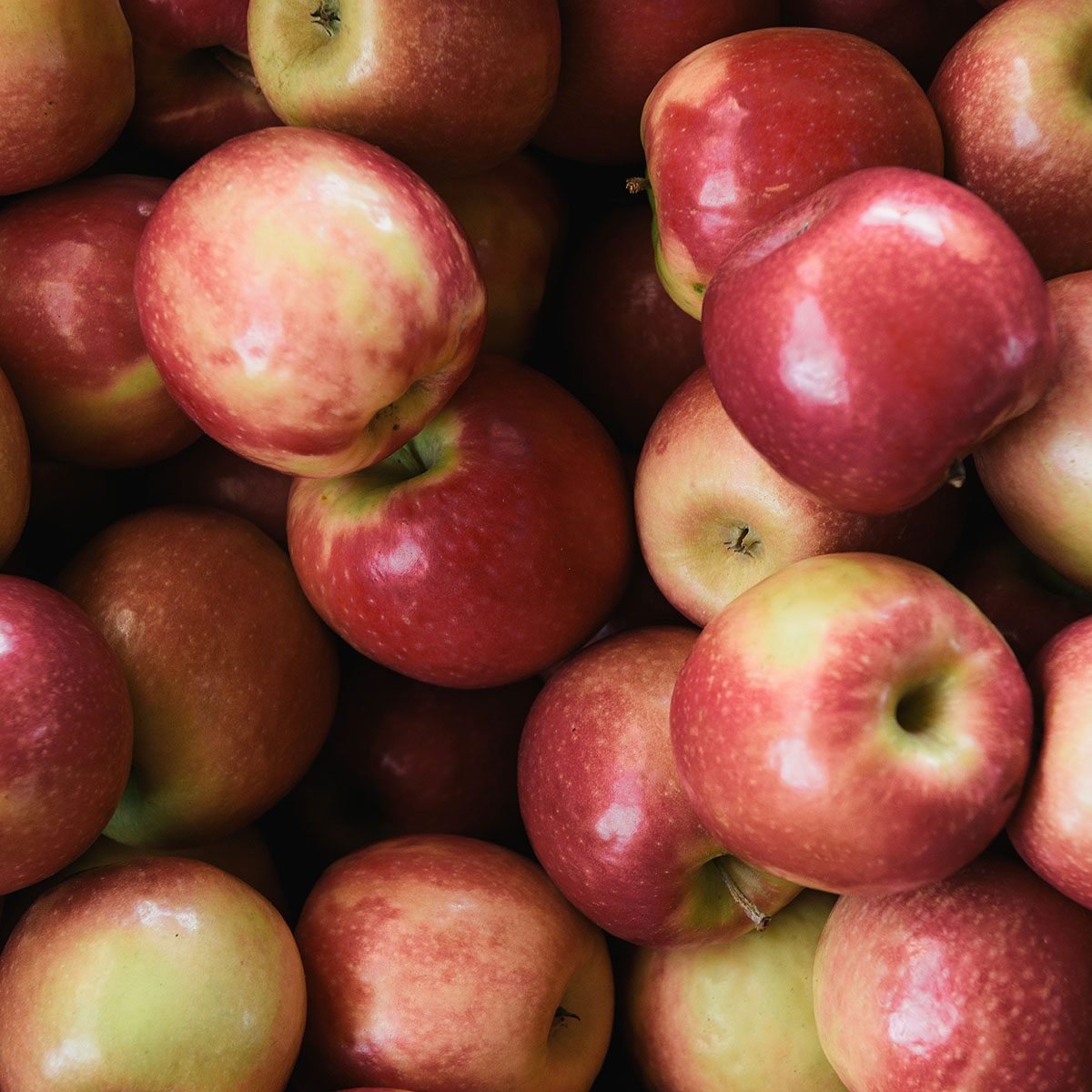apple hydrating fruit