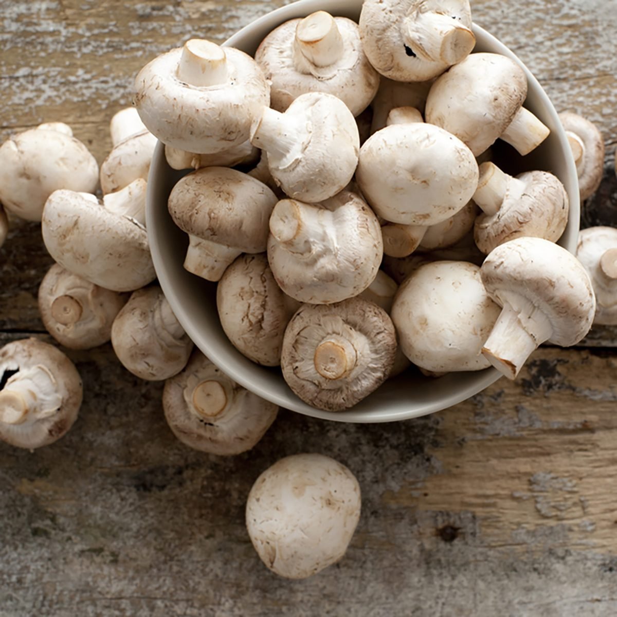 Fresh whole white button mushrooms, or agaricus, in a bowl on a rustic wooden counter ready to be cleaned and washed for dinner, overhead