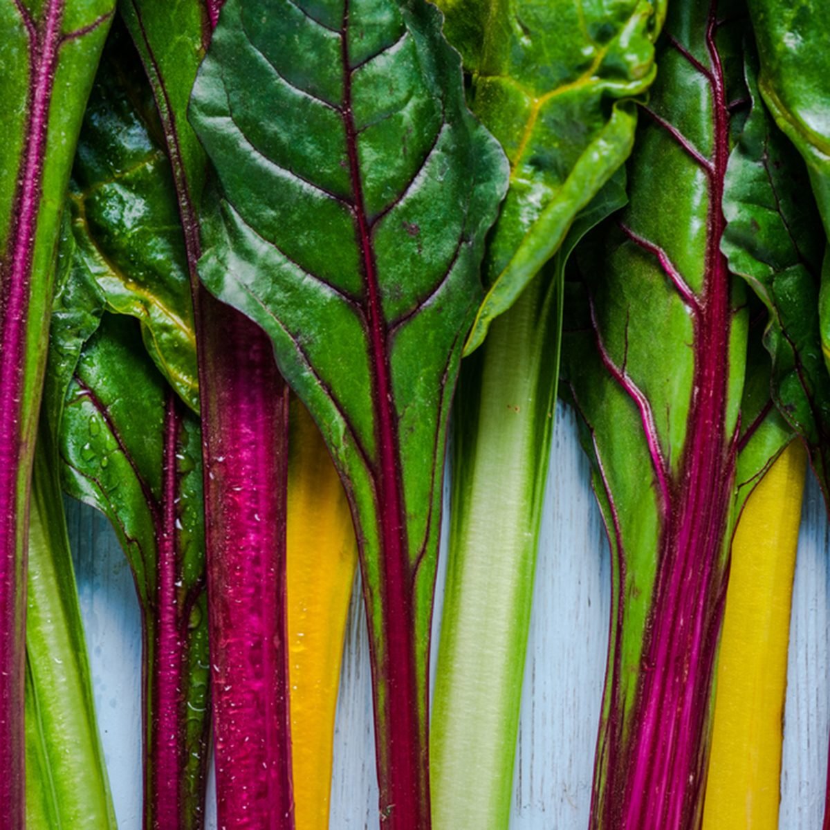 swiss rainbow chard
