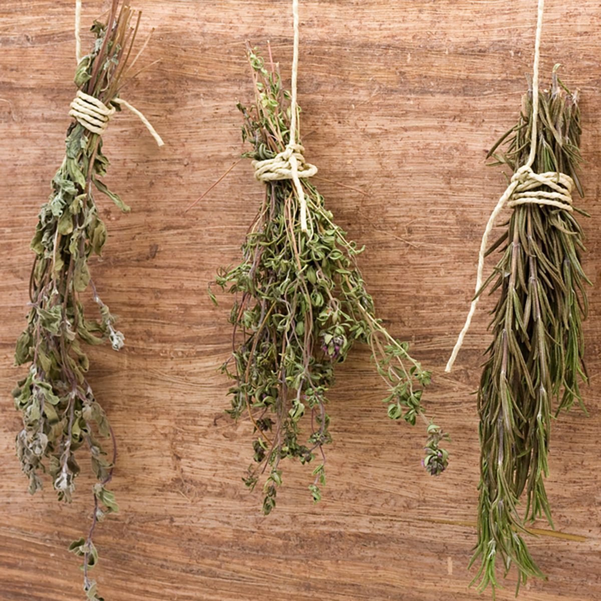 Fresh dried herb bundles of different herbs hanging on the wall