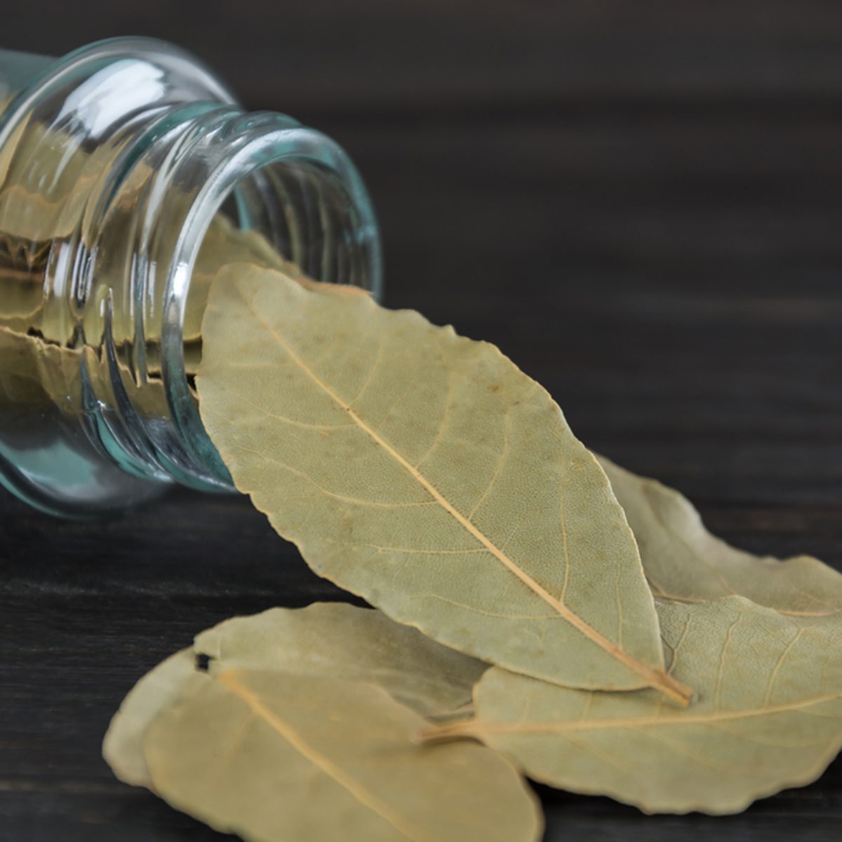 bay leaves in bottle on wood