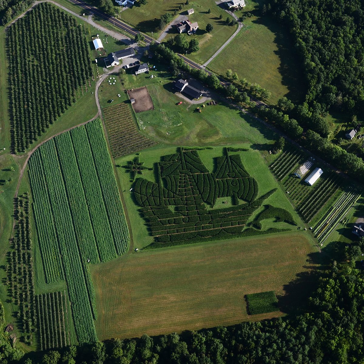 Treworgy Family Orchards