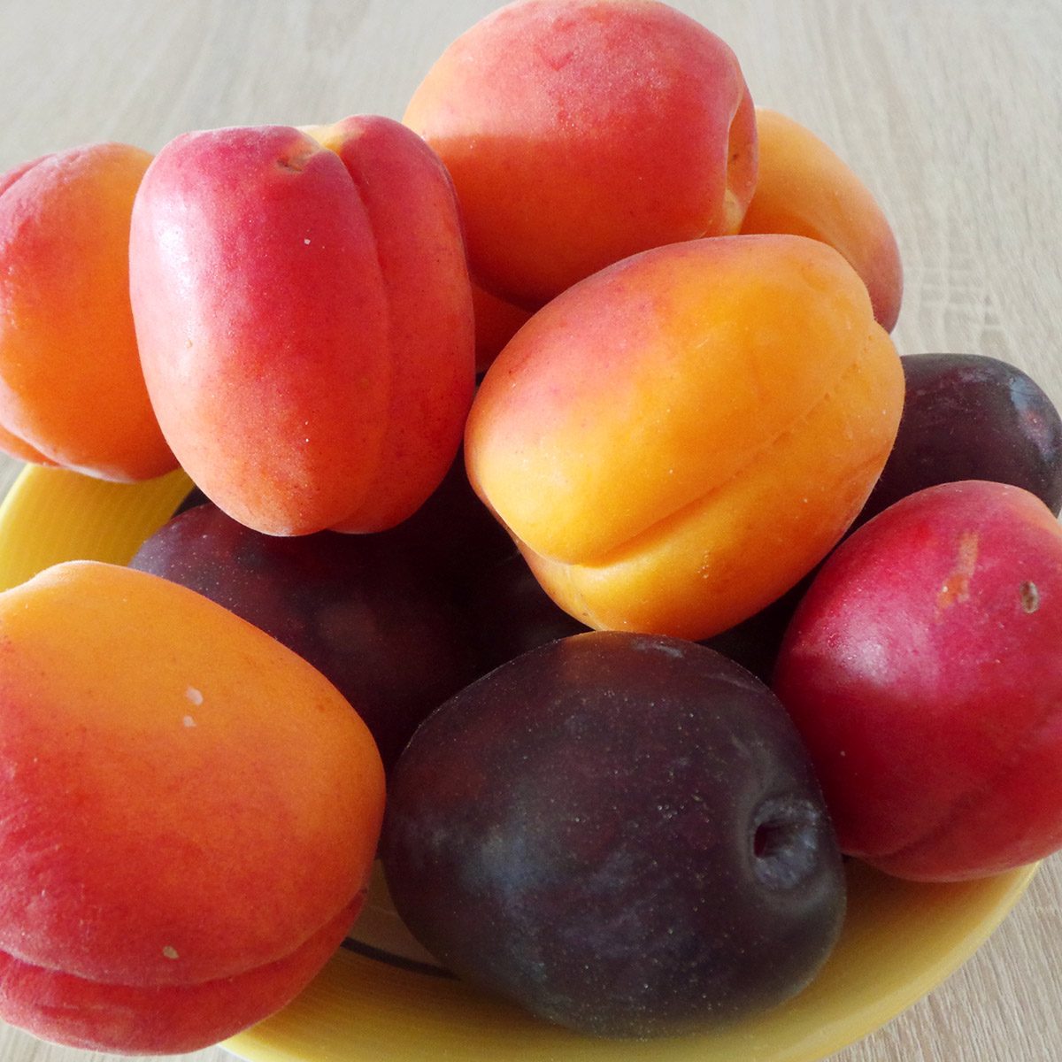 stone fruit Close Up Of Fruits In Bowl, Apricots And Plums