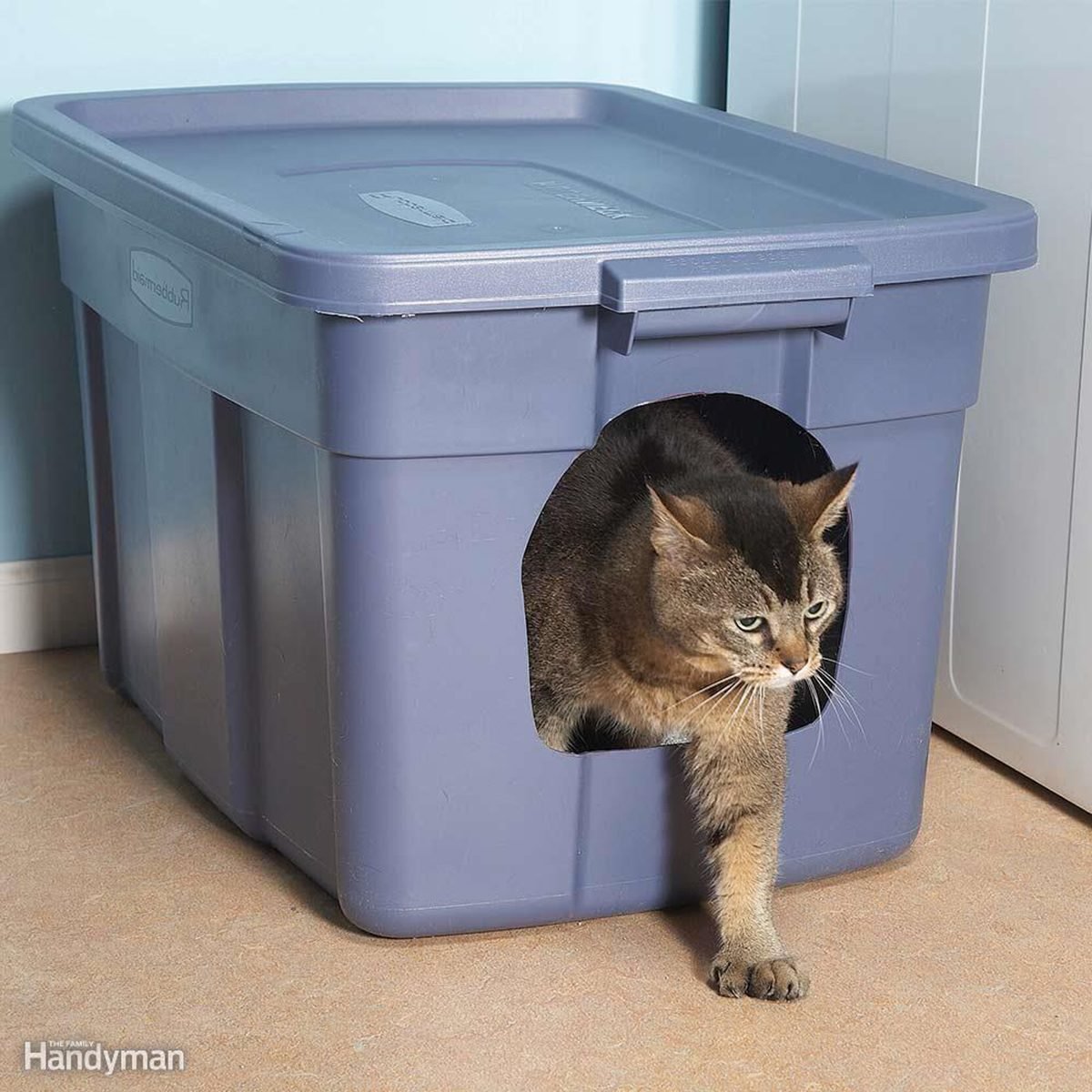 No mess litter box