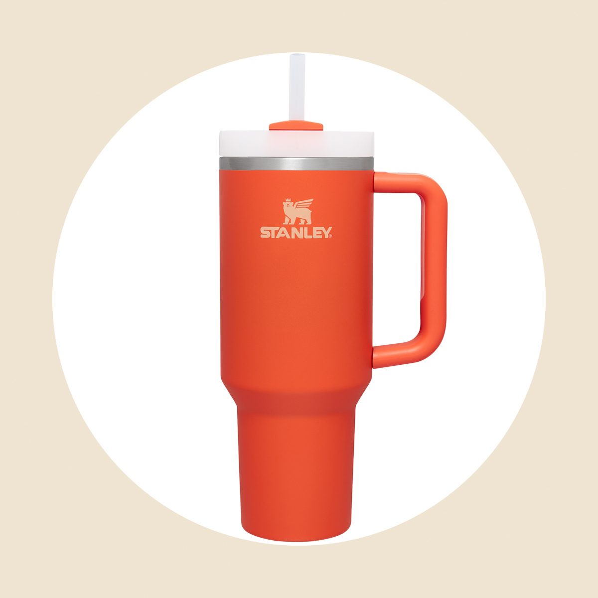 Viral Stanley Tumbler