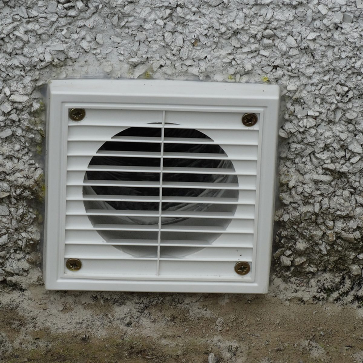 Tumble dryer vent