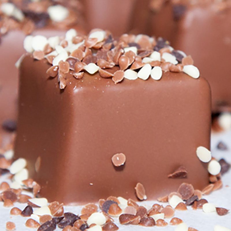 Chubby Chipmunk South Dakota