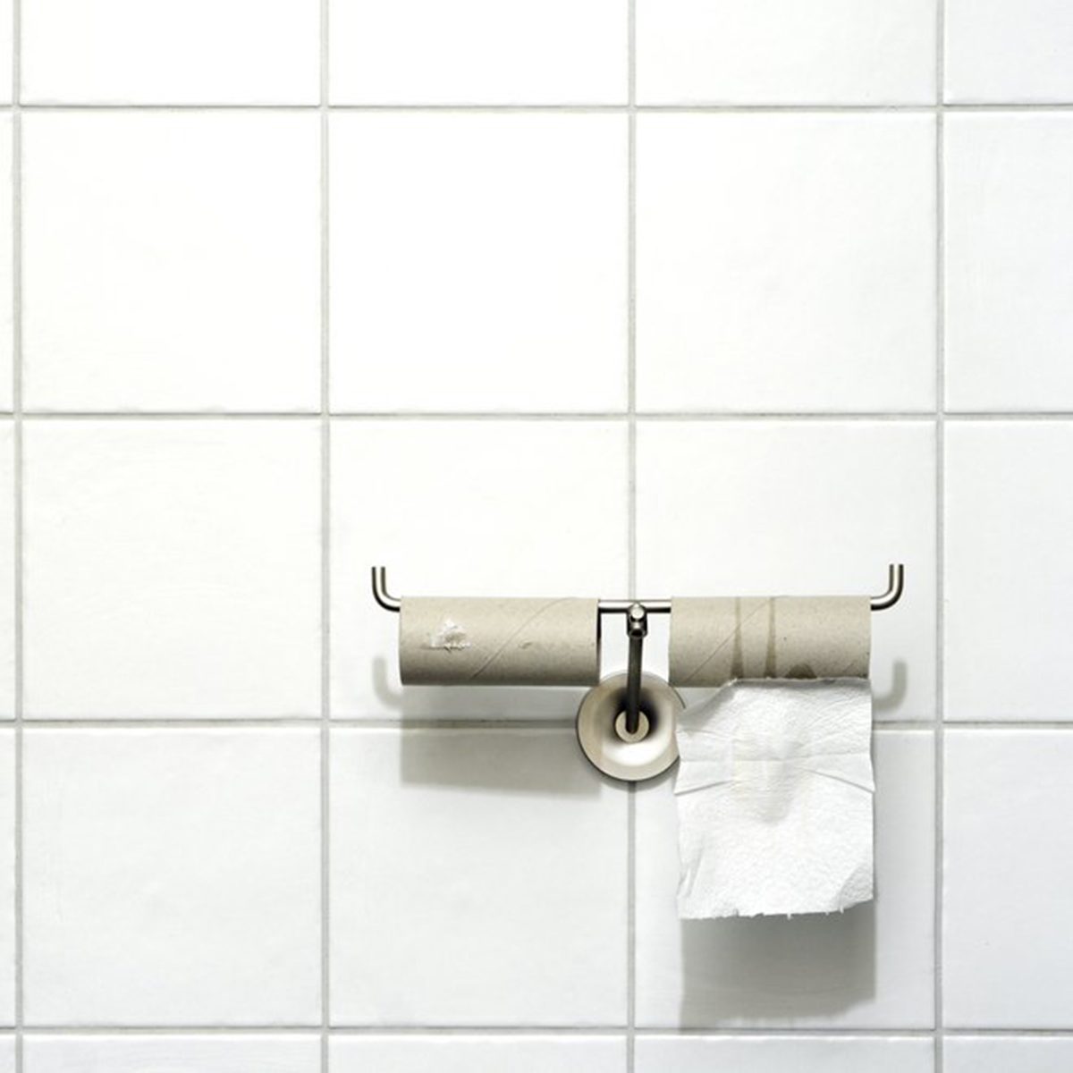 Empty toilet paper roll