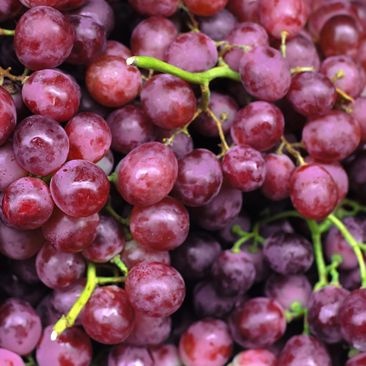 Close-up of bunches of grapes