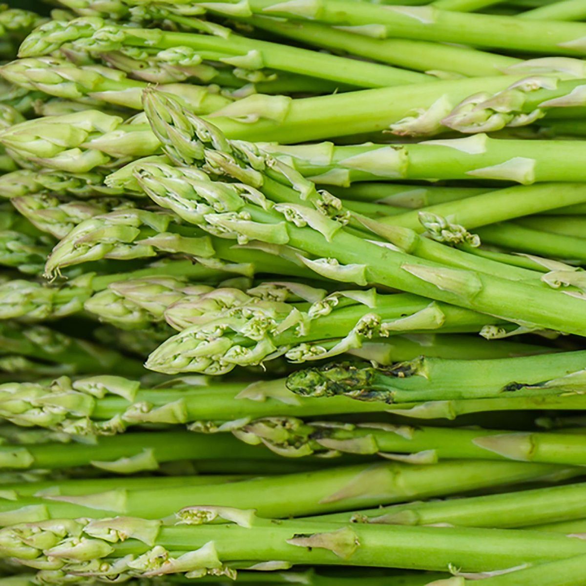 Asparagus