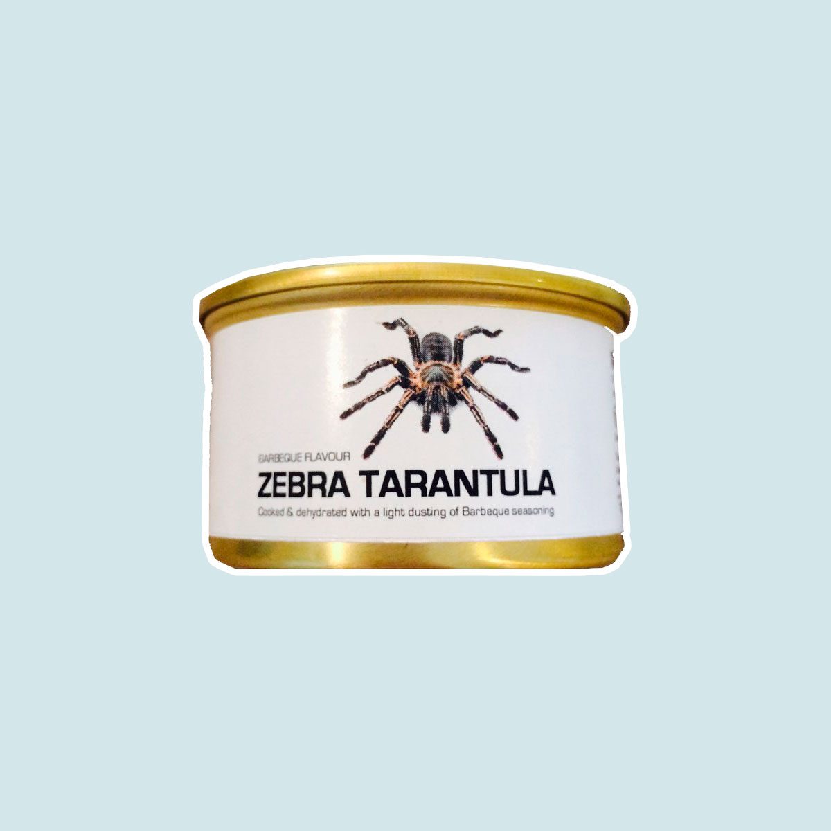 Zebra Tarantula
