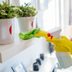 The Ultimate Room-by-Room Spring Cleaning Checklist