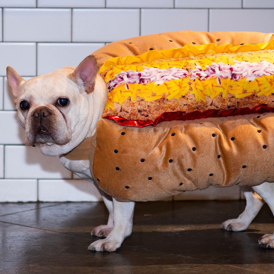 Bark Bar, Little Rock