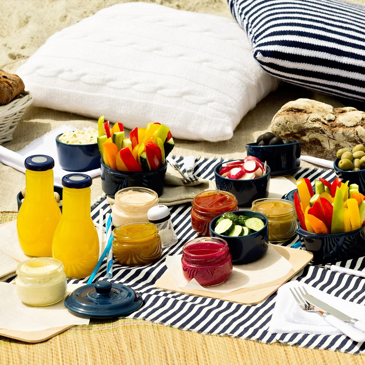 Summer picnic on the beach. Serving picnic utensils blue with vegetables and sauces on striped tablecloths and knitted pillow.