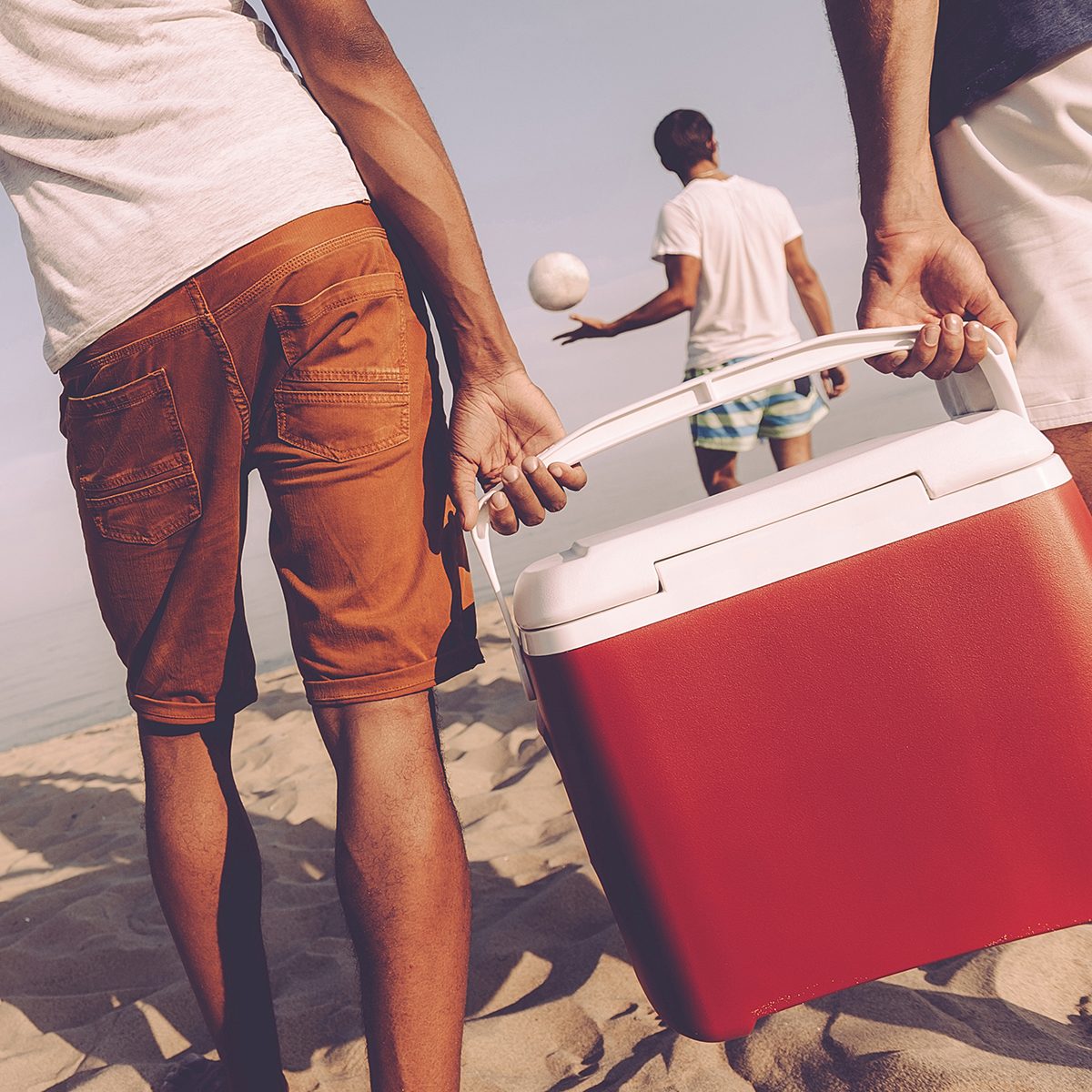 Friends on the beach. Rear view of cheerful young people walking by the beach to the sea while two men carrying plastic cooler