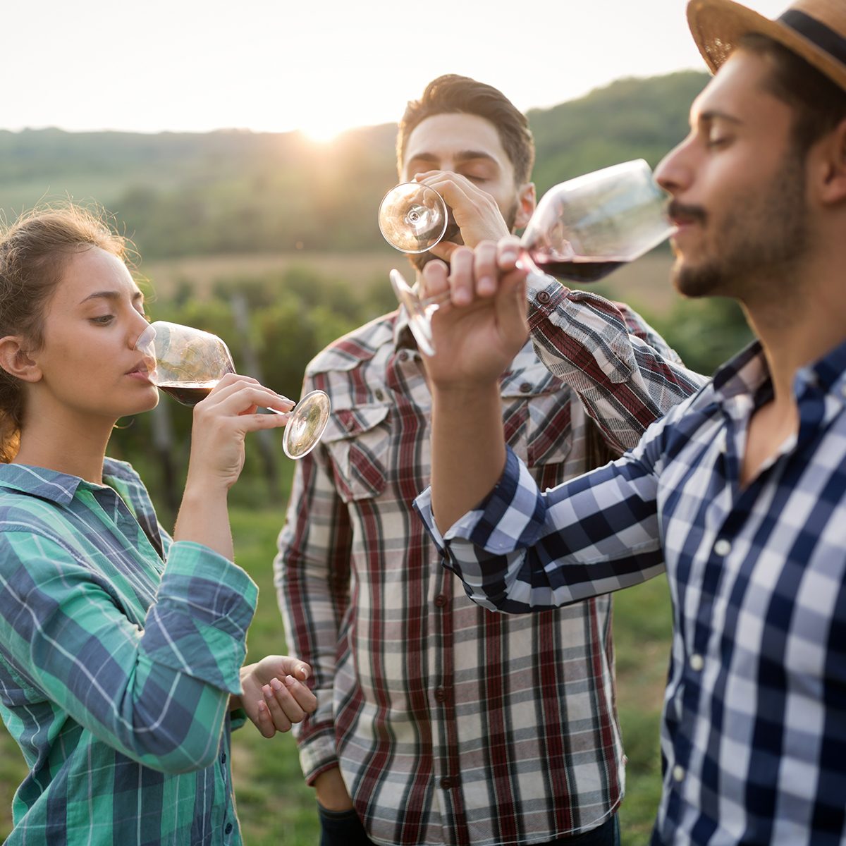 Happy people tasting wine in vineyard