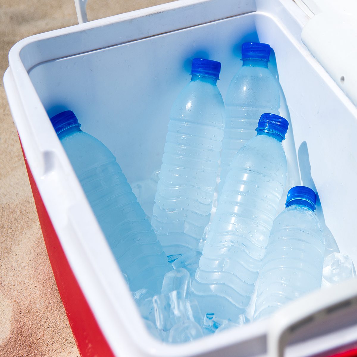 The water in the ice box on the beach;