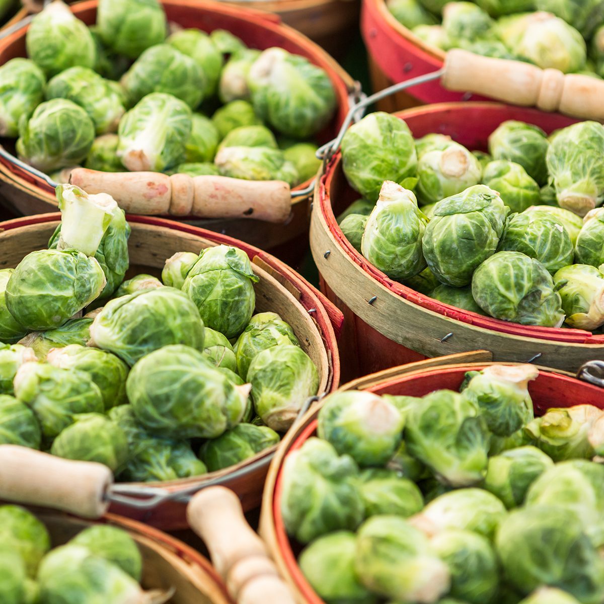 Local produce at the summer farmers market in the city.; Shutterstock ID 301760819; Job (TFH, TOH, RD, BNB, CWM, CM): TOH