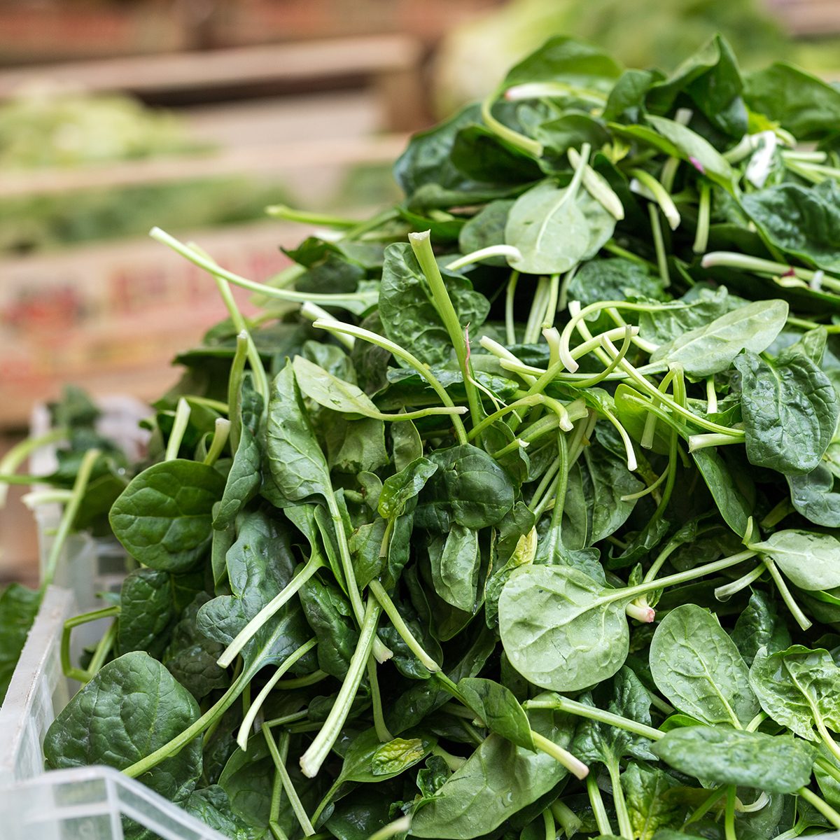 Fresh green Spinach at the farmers market; Shutterstock ID 438669850; Job (TFH, TOH, RD, BNB, CWM, CM): TOH