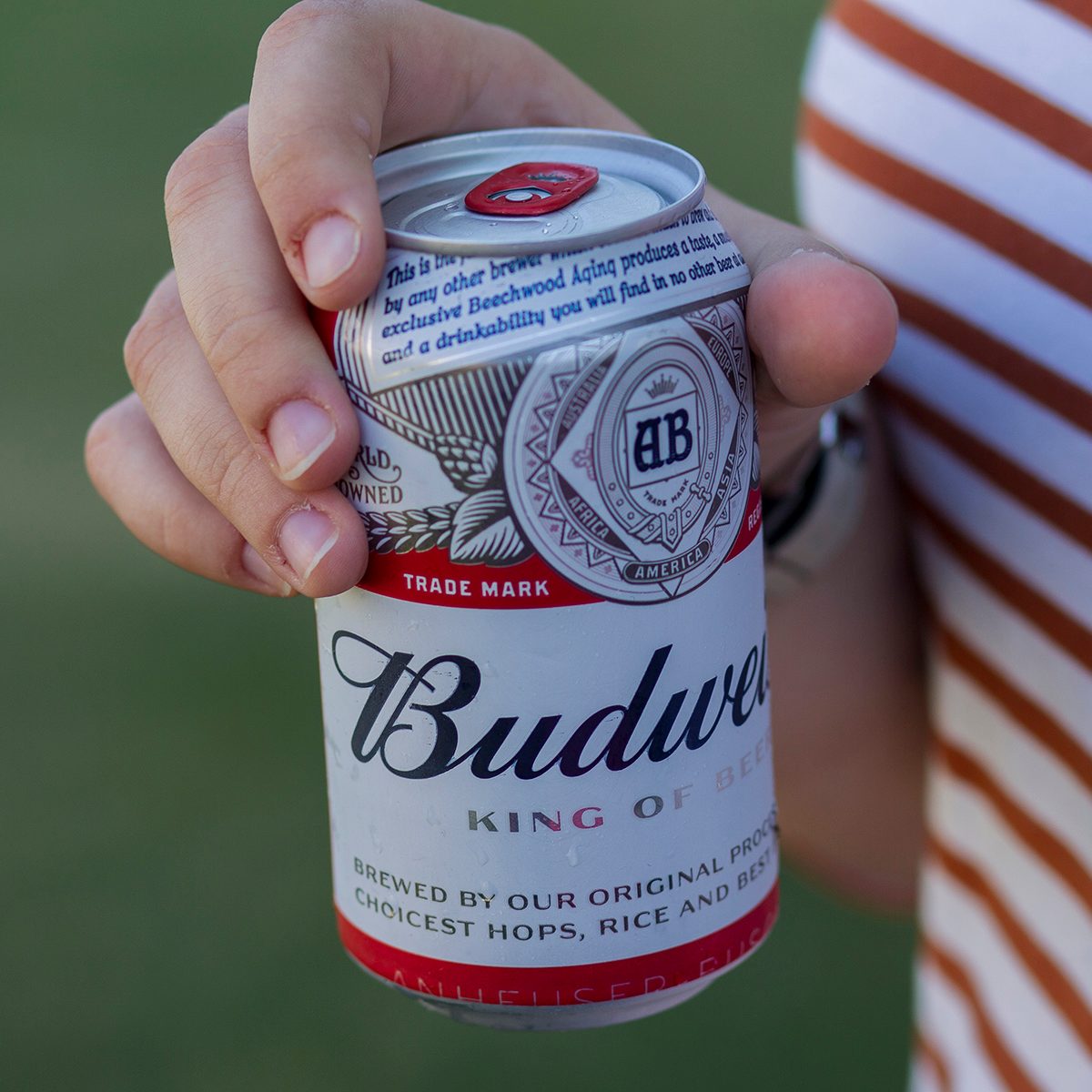 Can of Budweiser beer