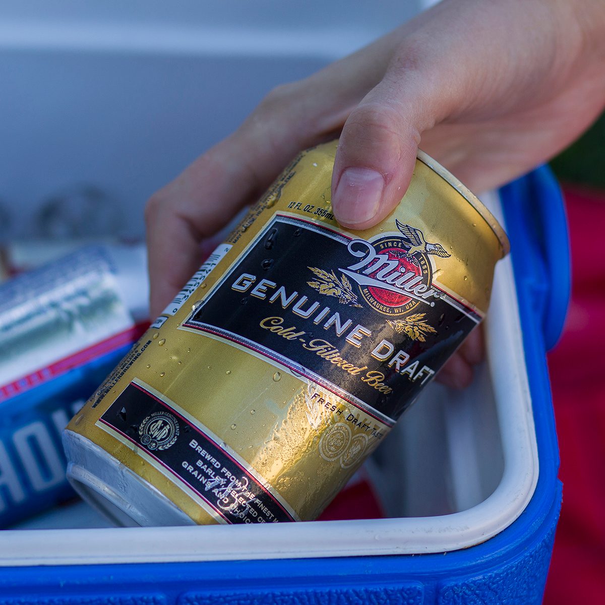 Can of Miller Genuine Draft beer in a cooler