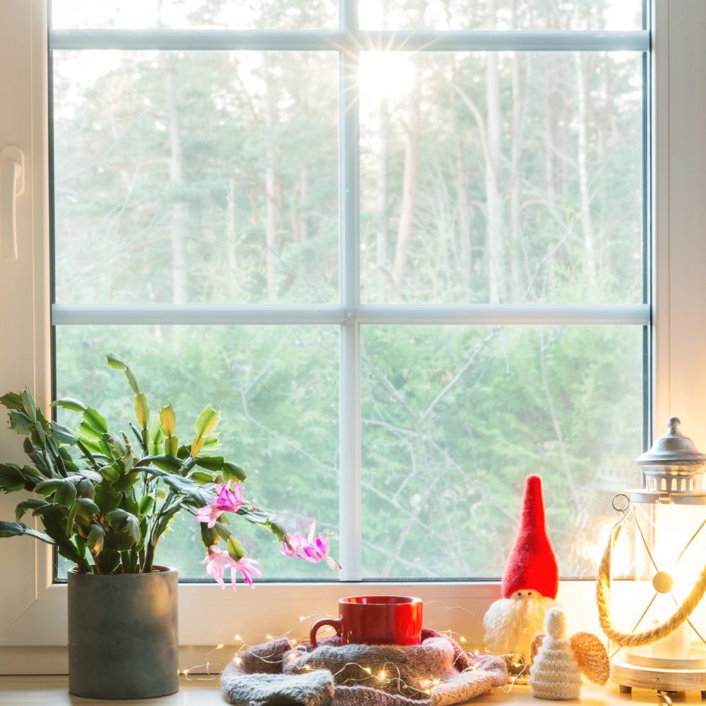 Christmas Lantern, Angel, Christmas Gnome, Christmas Cactus And Red Mug On The Window Of A Wooden House Overlooking The Winter Garden