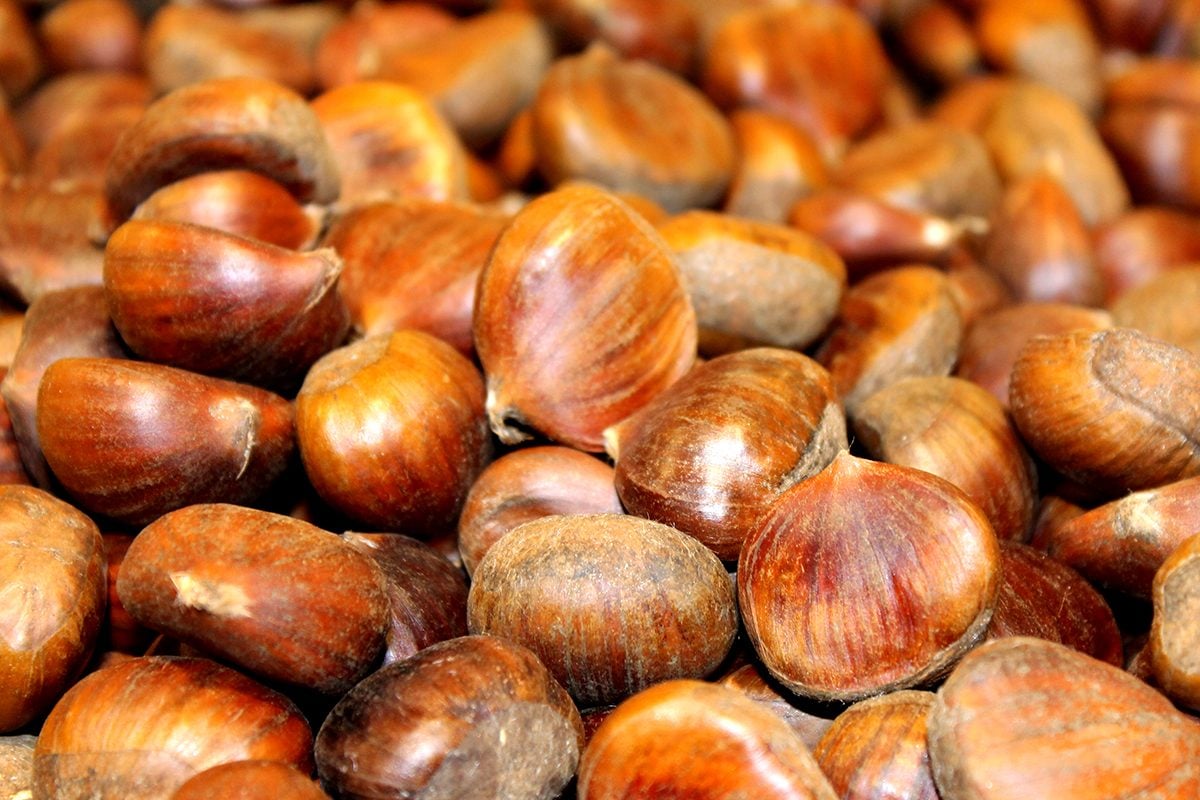 How to Roast Chestnuts