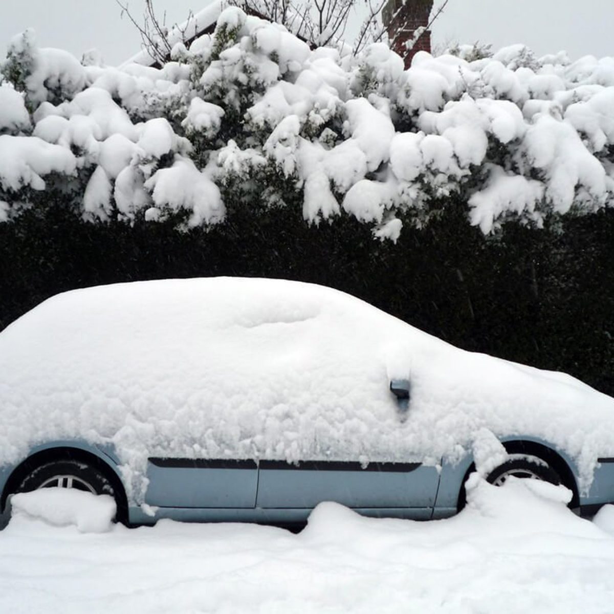Snow-covered cars