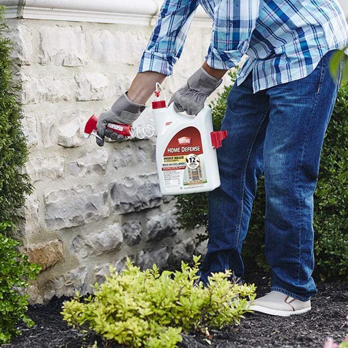 Spraying a pyrethrin barrier