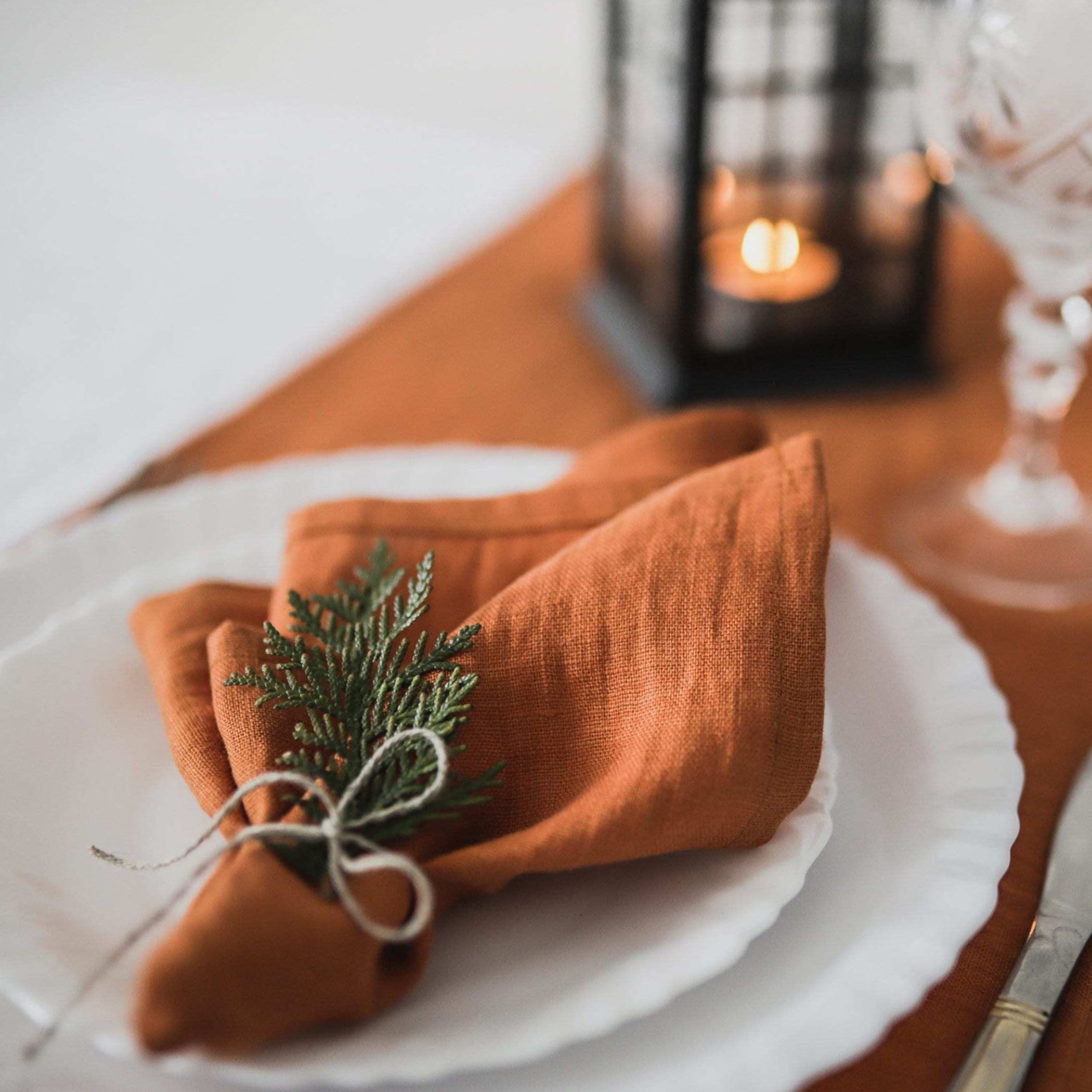 Set burnt orange linen wedding napkins, cloth wedding napkins, washed linen dinner cloth napkins, linen napkin, linen table cloths
