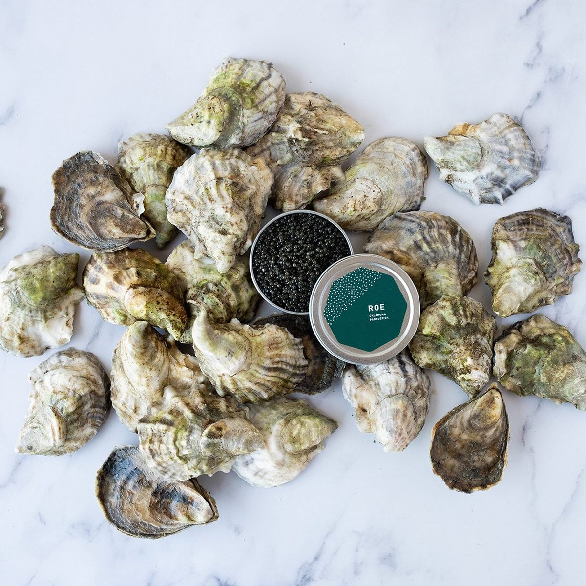 Island Creek Oysters Paddlefish Roe and 2 Dozen Oysters