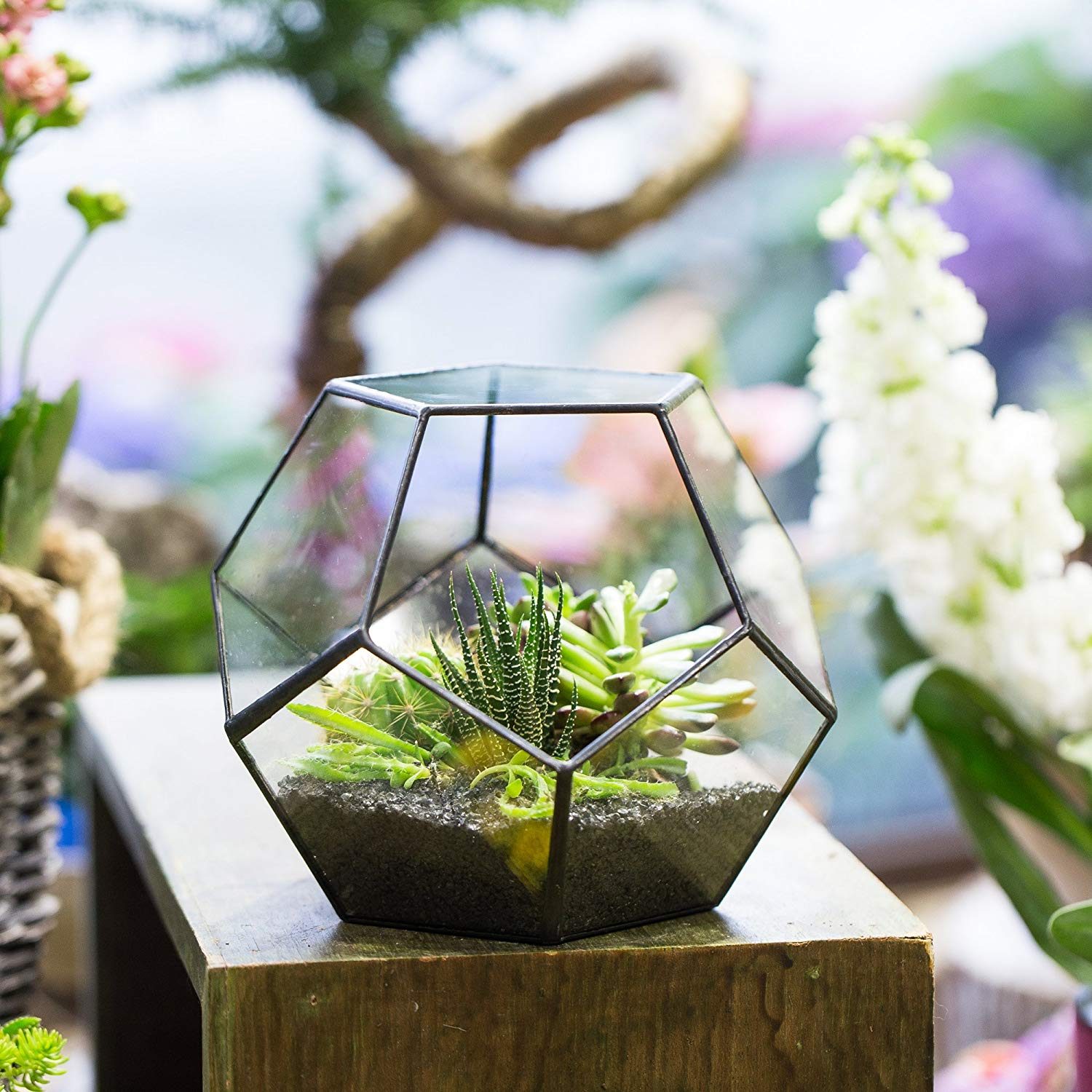 Terrarium