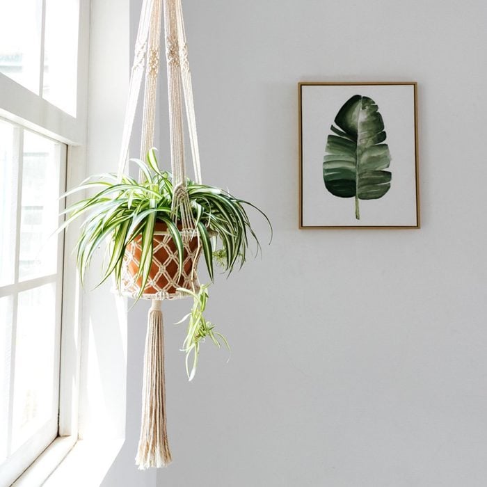 Mkono Macrame Hanging Planter Basket Plant Hanger Home Decor, Up to 8 Inch Flower Pot