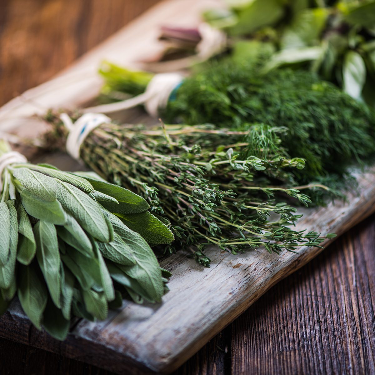 Basil, sage, dill, and thyme herbs on wooden board preparing for winter drying
