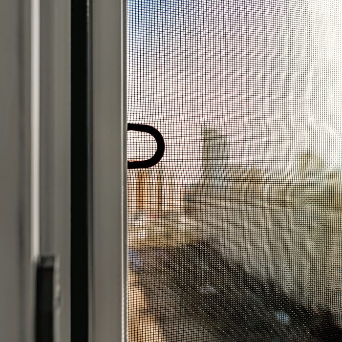 Open window with a mosquito screen to prevent insects and bugs, like flies, bees, mosquitoes or wasps from entering