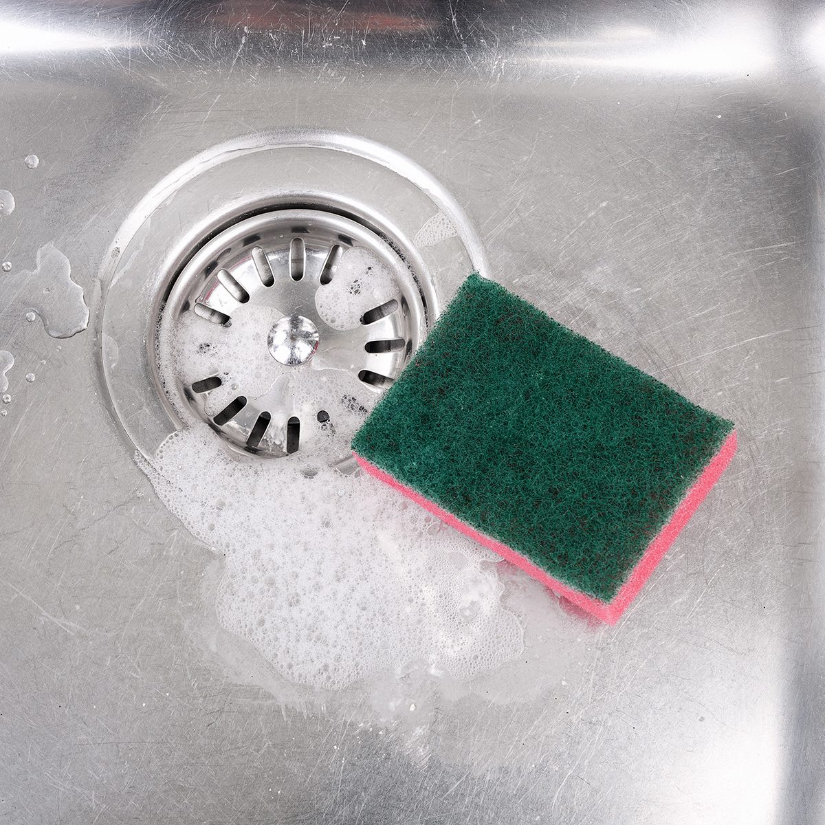 The Kitchen Sponge
