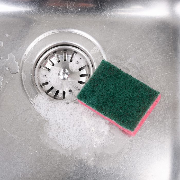 The Kitchen Sponge