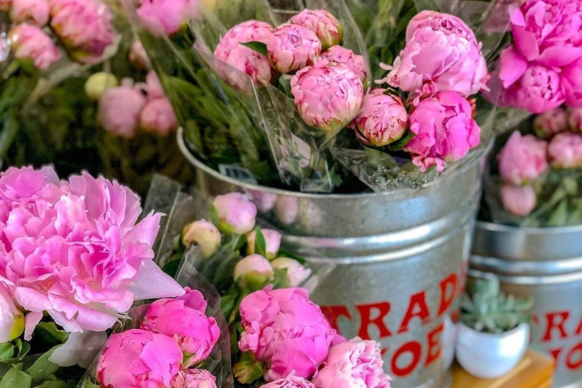 Trader Joe’s JUST Brought Back Their Famous Peonies—for a Limited Time