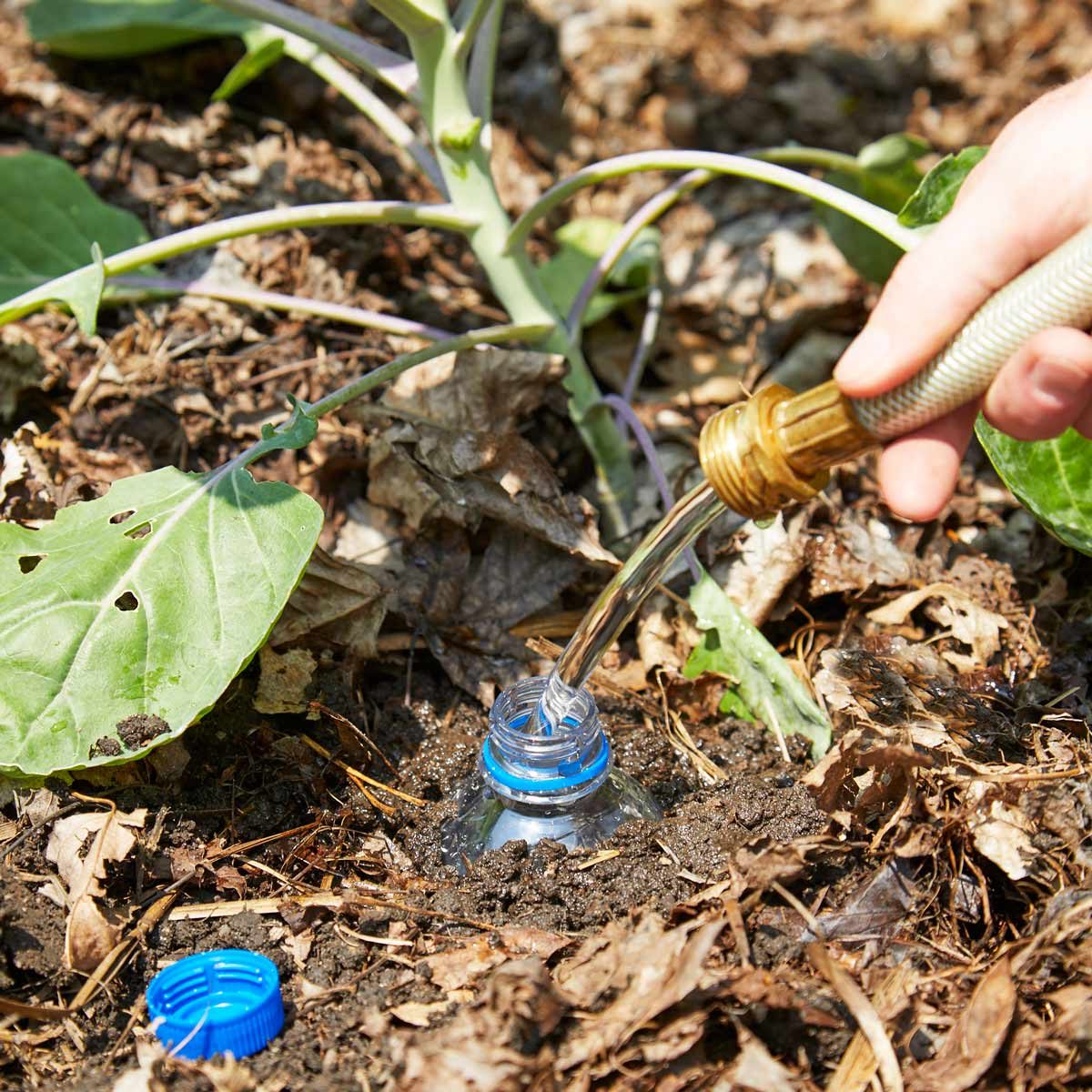 HH direct plant watering bottle