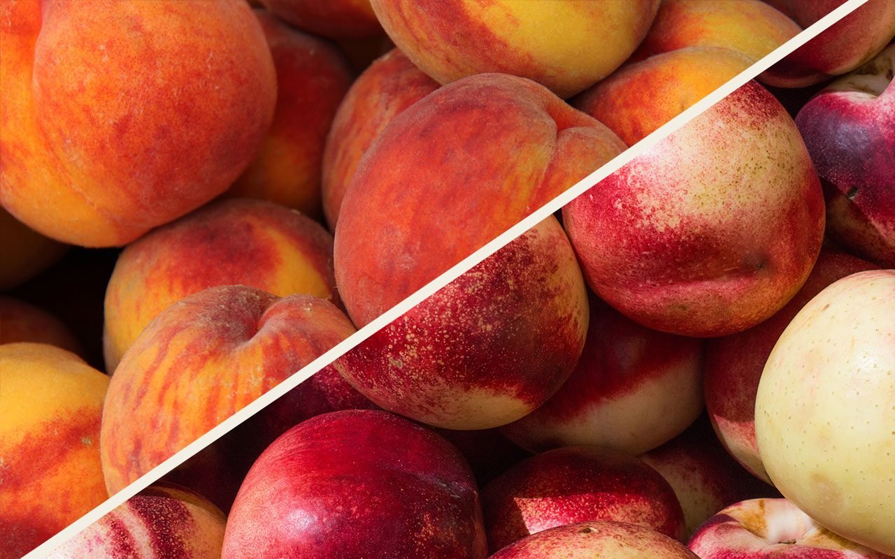 Nectarines vs. Peaches: What’s the Difference?