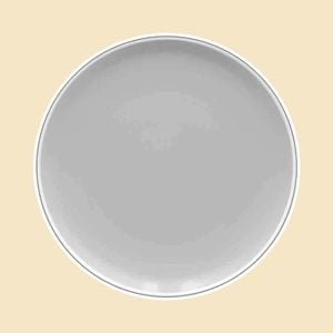 Noritake Dinner Plates